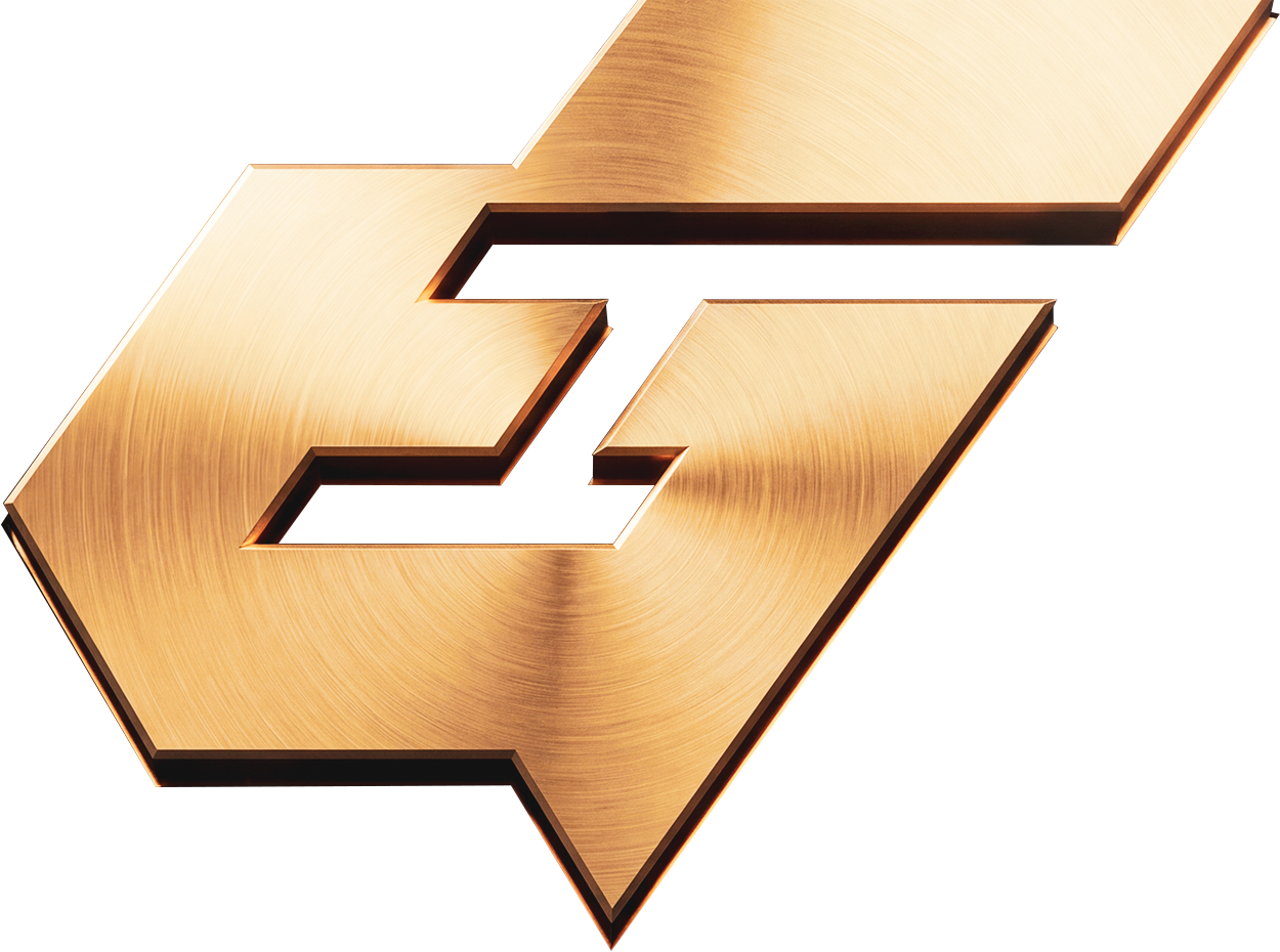 Force Esports